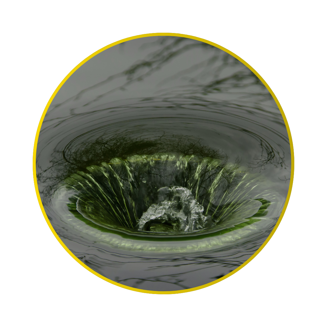 Desentupidora Elimina o mal cheiro